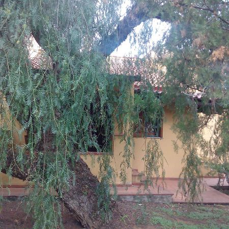 B&B Eleonora Palermo Dış mekan fotoğraf